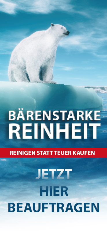 dpf-reinigung-auftrag.html